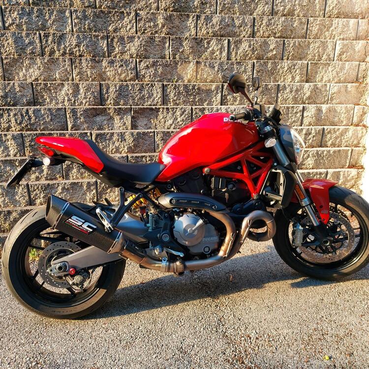 Ducati Monster 821 (2018 - 20)