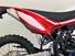 Betamotor RR 50 Enduro Sport (2018 - 20) (9)