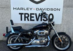 Harley-Davidson 883 Low (2008 - 12) - XL 883L usata