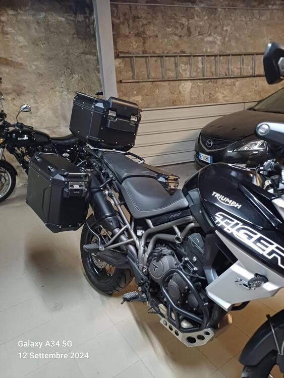 Triumph Tiger 800 XCx (2018 - 20)