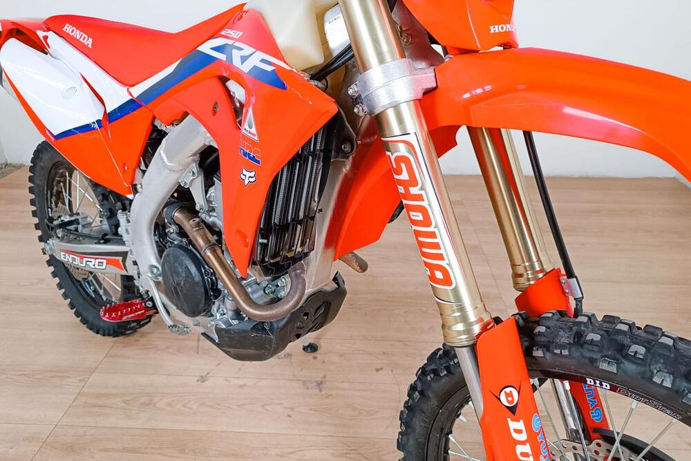 Honda CRF 250 RX (2019) (5)