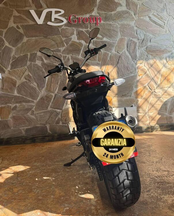 Ducati Scrambler 800 Icon (2023 - 24) (2)