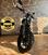 Ducati Scrambler 800 Icon (2023 - 24) (7)