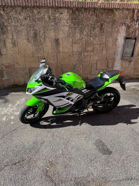 Kawasaki Ninja 300 ABS (2012 - 16)