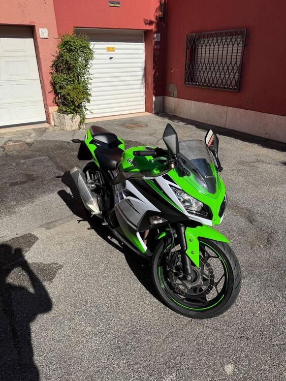 Kawasaki Ninja 300 ABS (2012 - 16) (2)