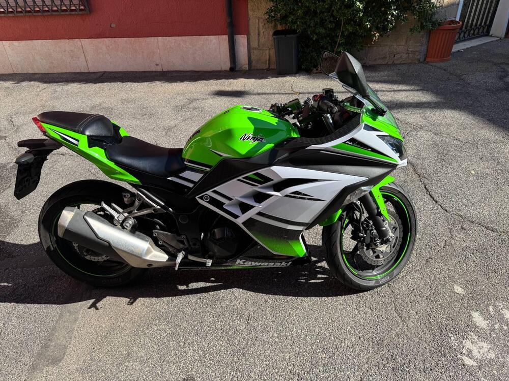 Kawasaki Ninja 300 ABS (2012 - 16) (5)