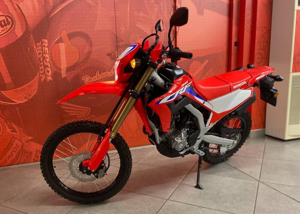 Honda CRF 300 L (2021 - 24) (5)