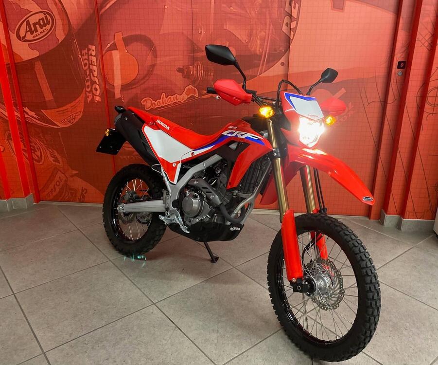 Honda CRF 300 L (2021 - 24) (3)