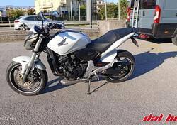 Honda Hornet 600 (2011 - 13) usata