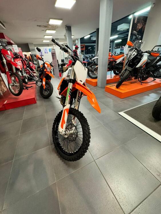 KTM SX 450 F (2019) (3)