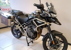 Triumph Tiger 1200 GT Pro (2022 - 23) usata