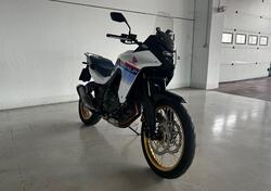 Honda Transalp XL750 (2023 - 24) usata