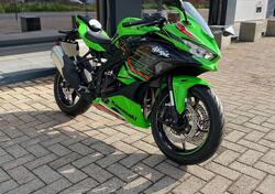 Kawasaki Ninja ZX-4RR (2024 - 25) nuova