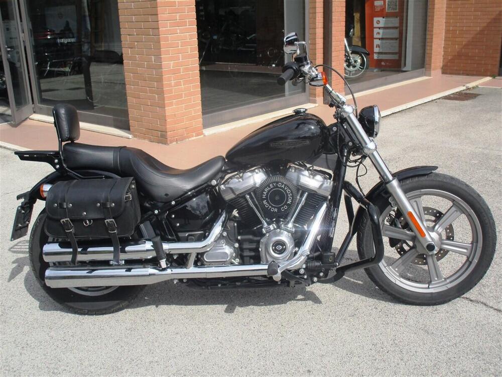 Harley-Davidson Softail Standard (2021 - 24)