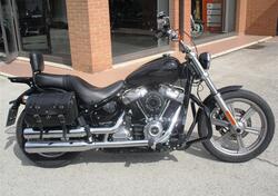 Harley-Davidson Softail Standard (2021 - 24) usata