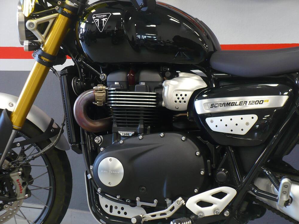 Triumph Scrambler 1200 XE (2024) (5)