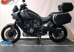 Harley-Davidson Pan America 1250 Special (2020 - 24) usata