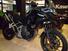 Triumph Tiger 1200 GT Pro (2022 - 23) (7)