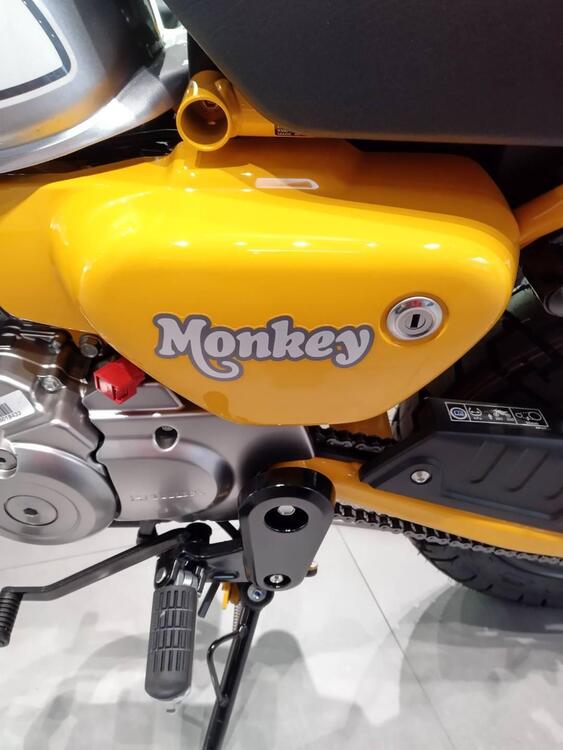 Honda Monkey 125 (2022 - 24) (3)