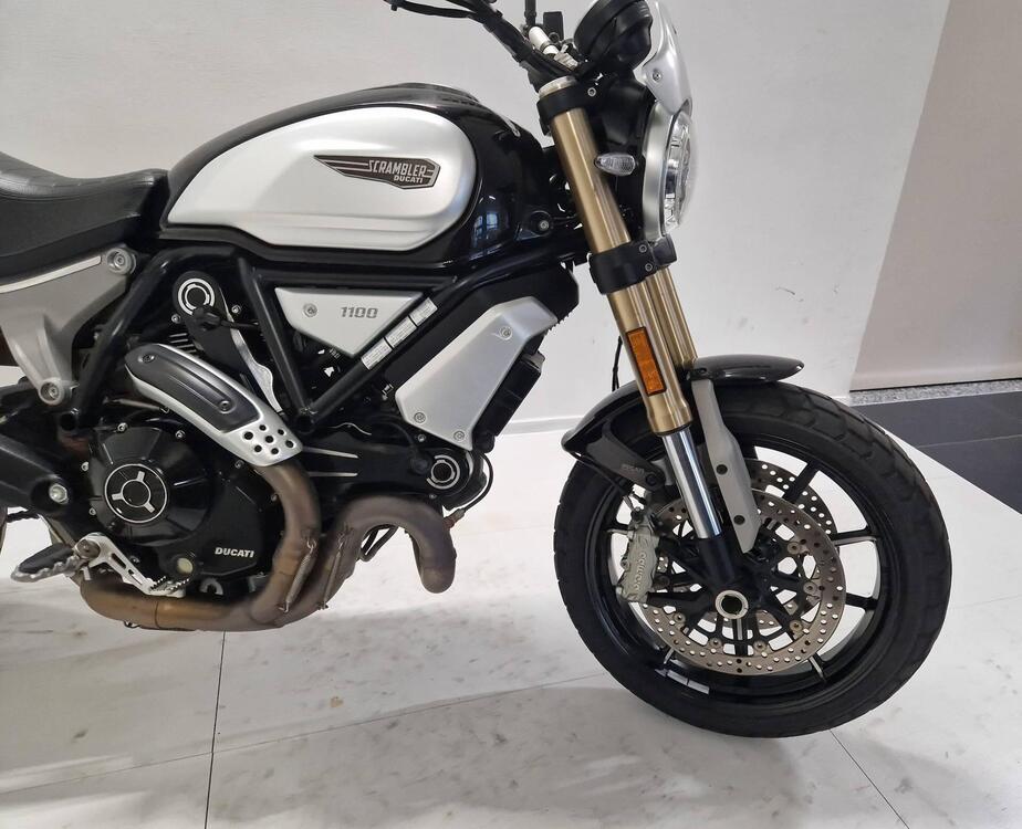 Ducati Scrambler 1100 (2018 - 20) (5)