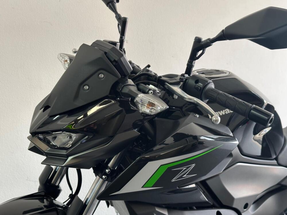 Kawasaki Z 500 (2024 - 25) (5)