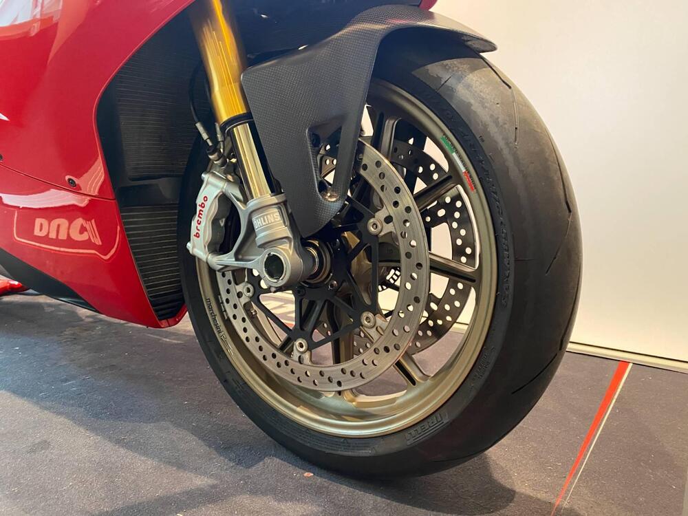 Ducati Panigale V4 S 1100 (2018 - 19) (3)