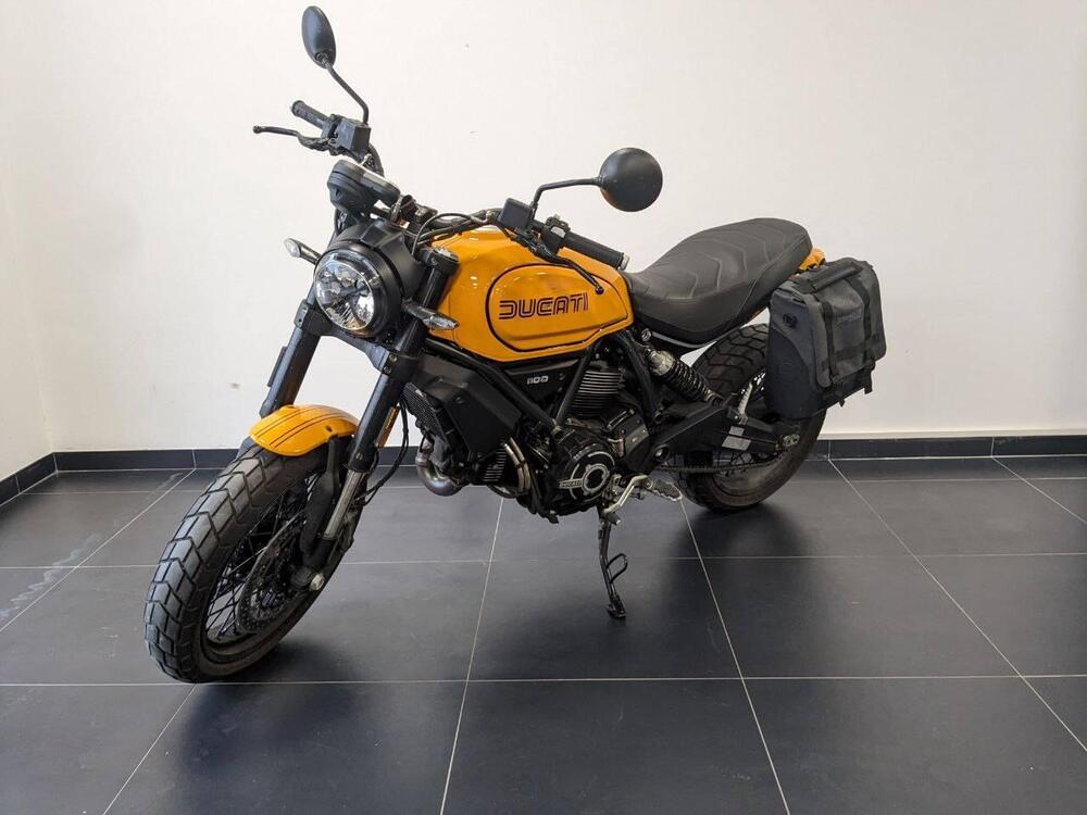 Ducati Scrambler 1100 Tribute Pro (2022 - 24) (4)