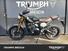 Triumph Scrambler 400 X (2024) (8)