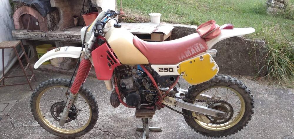 Yamaha yz 250 (2)