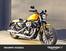 Harley-Davidson 883 Iron (2012 - 14) - XL 883N (13)