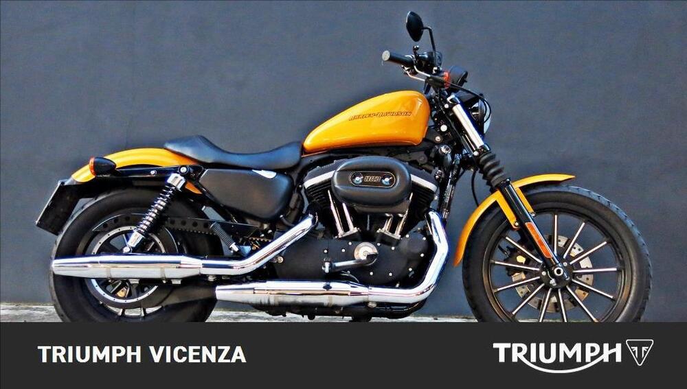 Harley-Davidson 883 Iron (2012 - 14) - XL 883N (4)