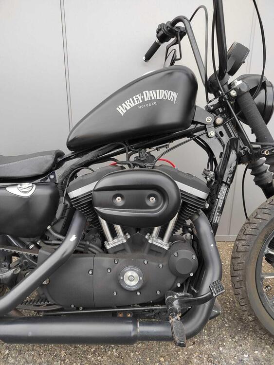 Harley-Davidson 883 Iron (2012 - 14) - XL 883N (3)