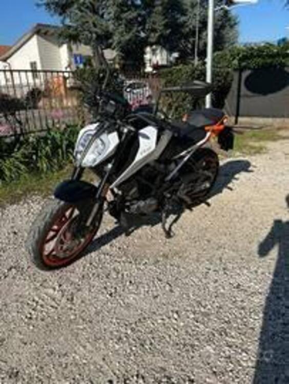 KTM 125 Duke (2024) (4)