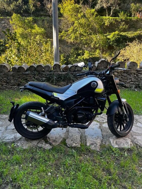 Benelli Leoncino 250 (2019 - 20) (3)