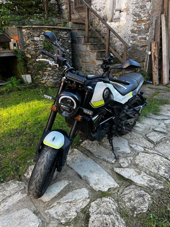 Benelli Leoncino 250 (2019 - 20) (4)