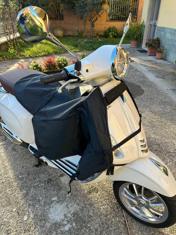 Vespa Primavera 150 (2021 - 23) (5)