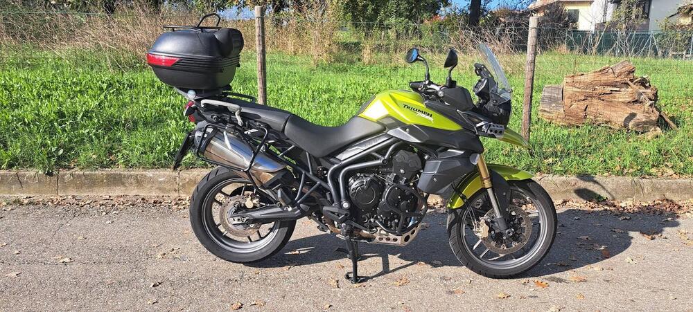 Triumph Tiger 800 ABS (2010 - 14) (2)