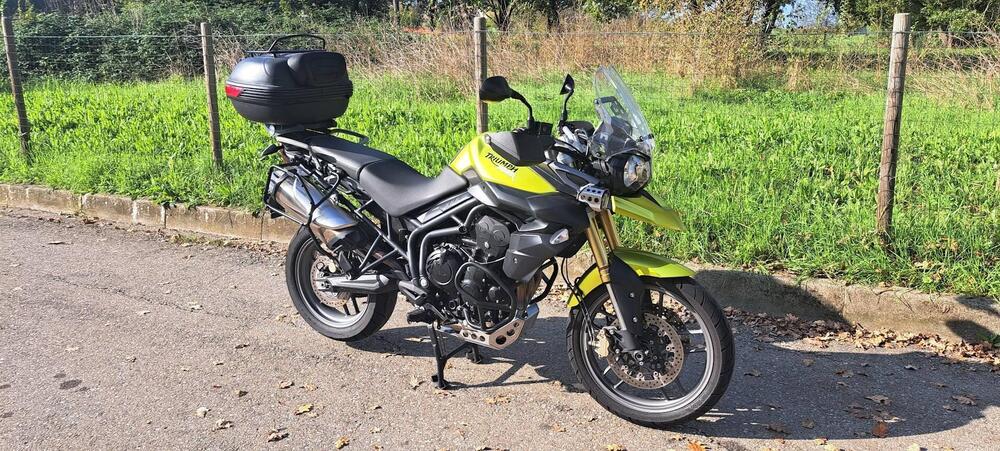 Triumph Tiger 800 ABS (2010 - 14) (4)