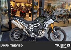 Triumph Tiger 900 Rally Pro (2024) usata