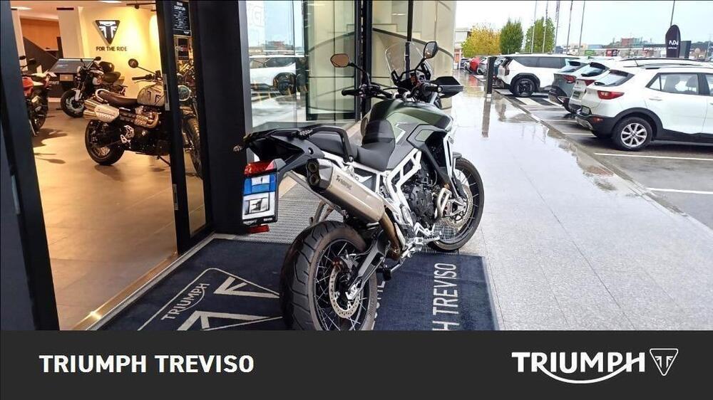 Triumph Tiger 900 Rally Pro (2024) (3)