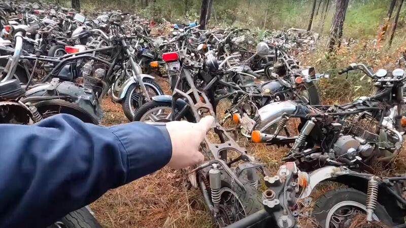 Alabama: scoperto un &quot;cimitero&quot; con pi&ugrave; di 4.000 moto abbandonate. Ecco cos&#039;&egrave; successo [VIDEO]