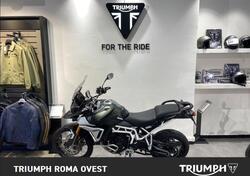 Triumph Tiger 900 Rally Pro (2024) usata