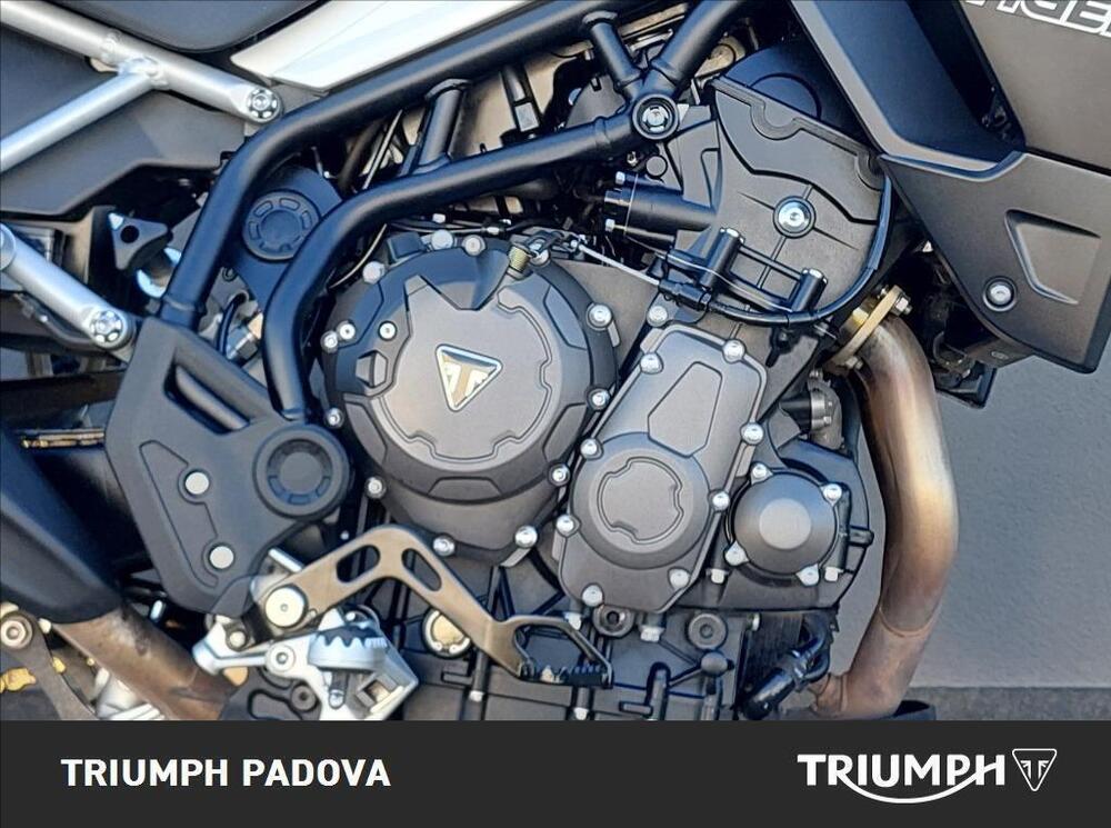 Triumph Tiger 900 GT (2020 - 23) (3)