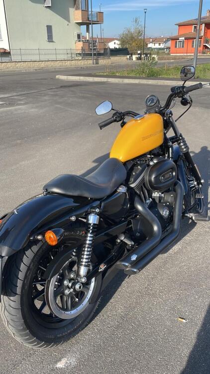 Harley-Davidson 883 Iron (2009 - 11) - XL 883N