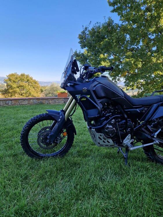 Yamaha Ténéré 700 (2019 - 20) (2)