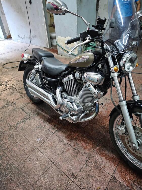 Yamaha XV 535 DX Virago (1998 - 04) (2)