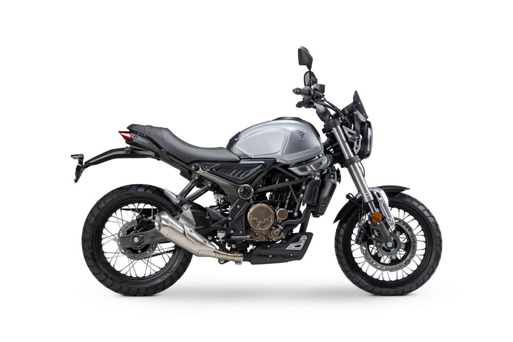 Voge Trofeo 300ACX Scrambler (2021 - 24)