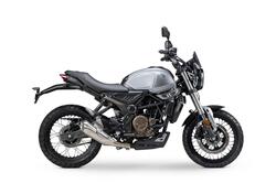 Voge Trofeo 300ACX Scrambler (2021 - 25) nuova