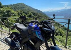 Yamaha MT-125 (2021 - 25) usata