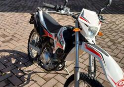 Betamotor RR 125 4T Enduro AC (2010 - 17) usata